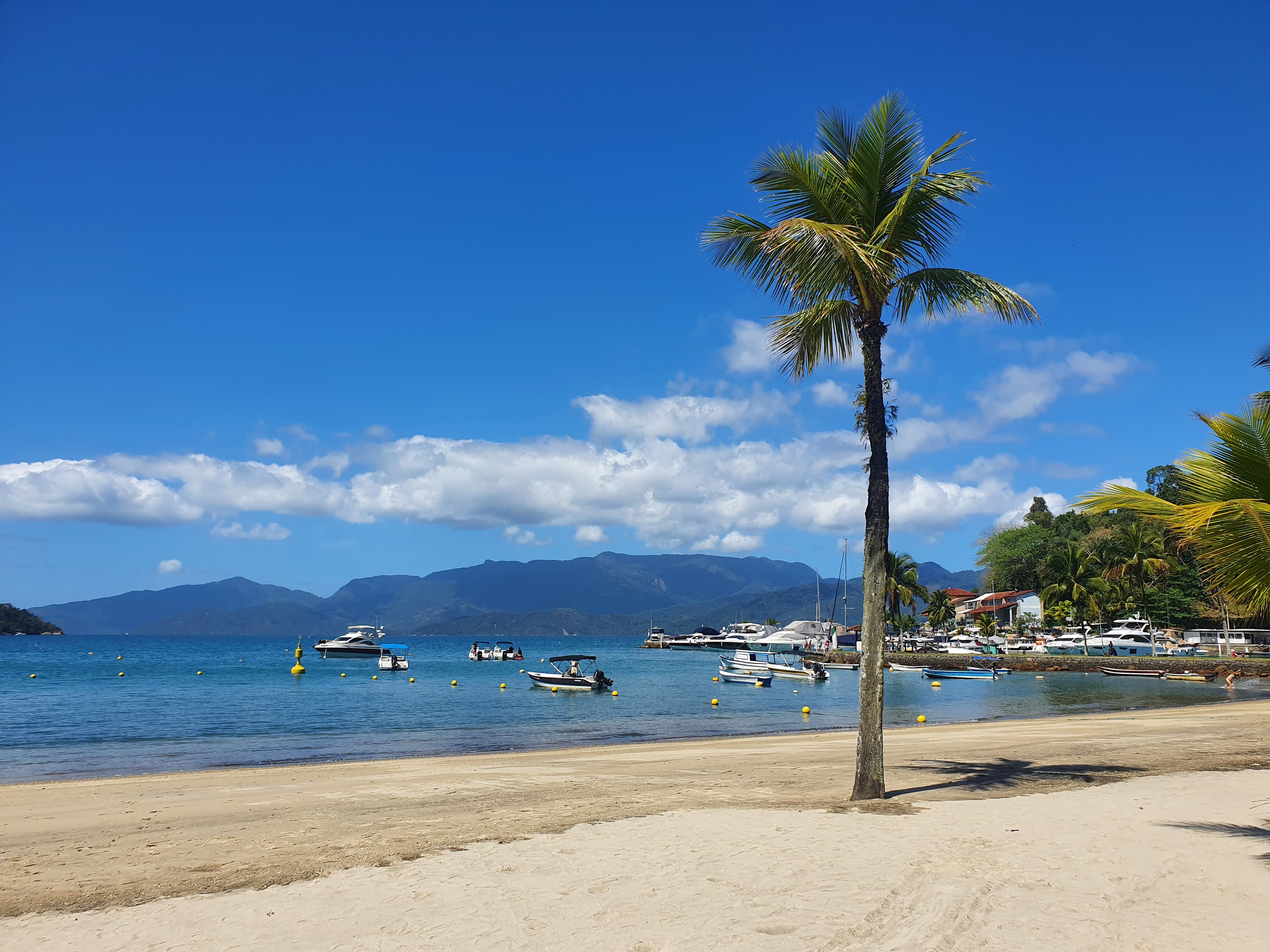 lorem ipsum dolor sit